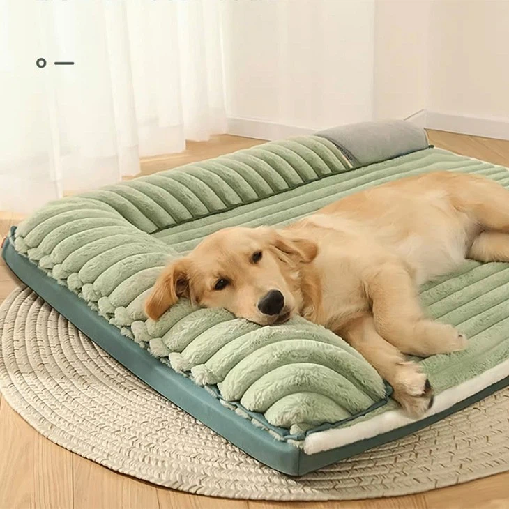 O1CN01qhAzfH24NdM0XBGIg_!!704407379(001)